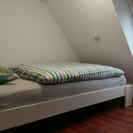 Ferienwohnung Am Schwanensee 플론 외부 사진