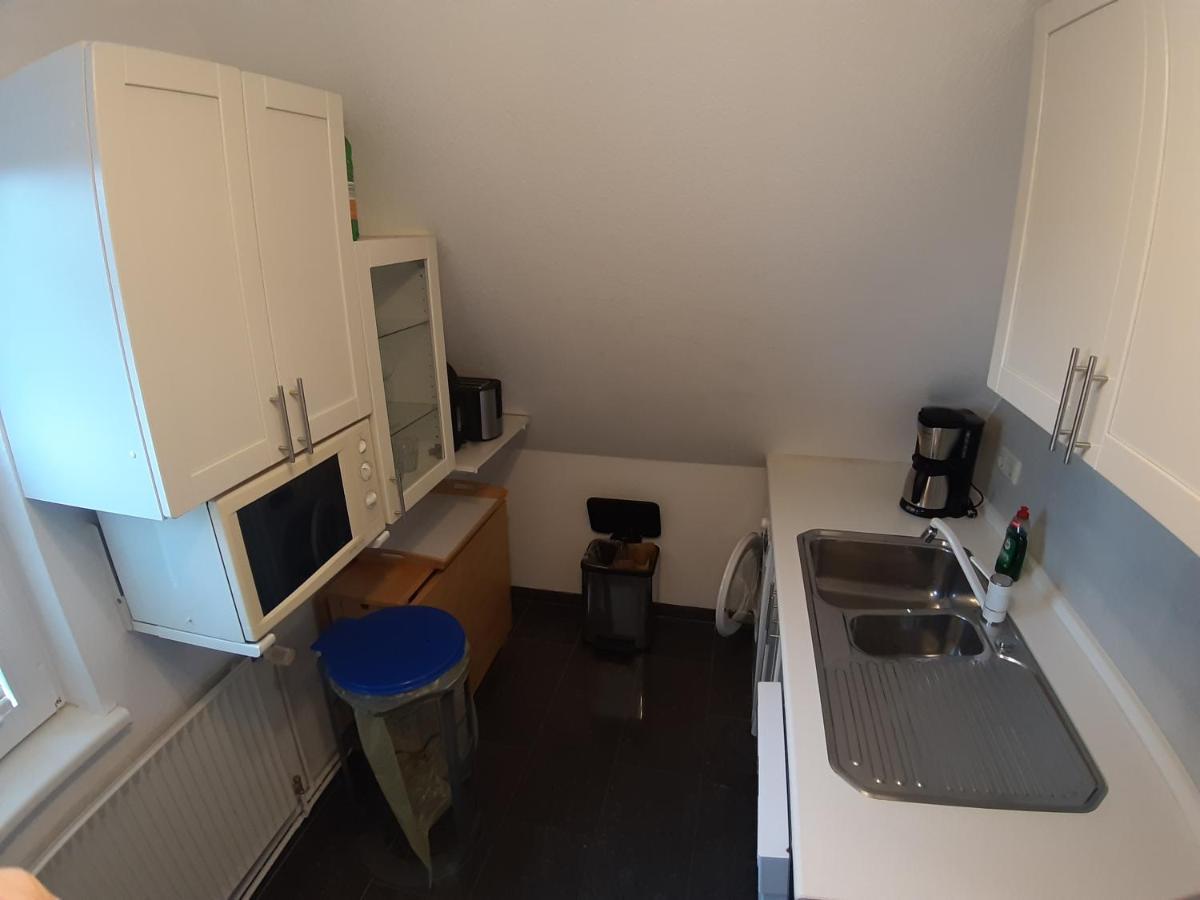 Ferienwohnung Am Schwanensee 플론 외부 사진